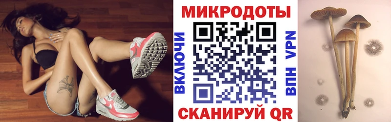 Галлюциногенные грибы мицелий продажа наркотиков Власиха