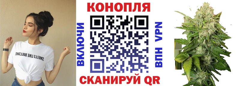 Канабис ГИДРОПОН  Власиха 